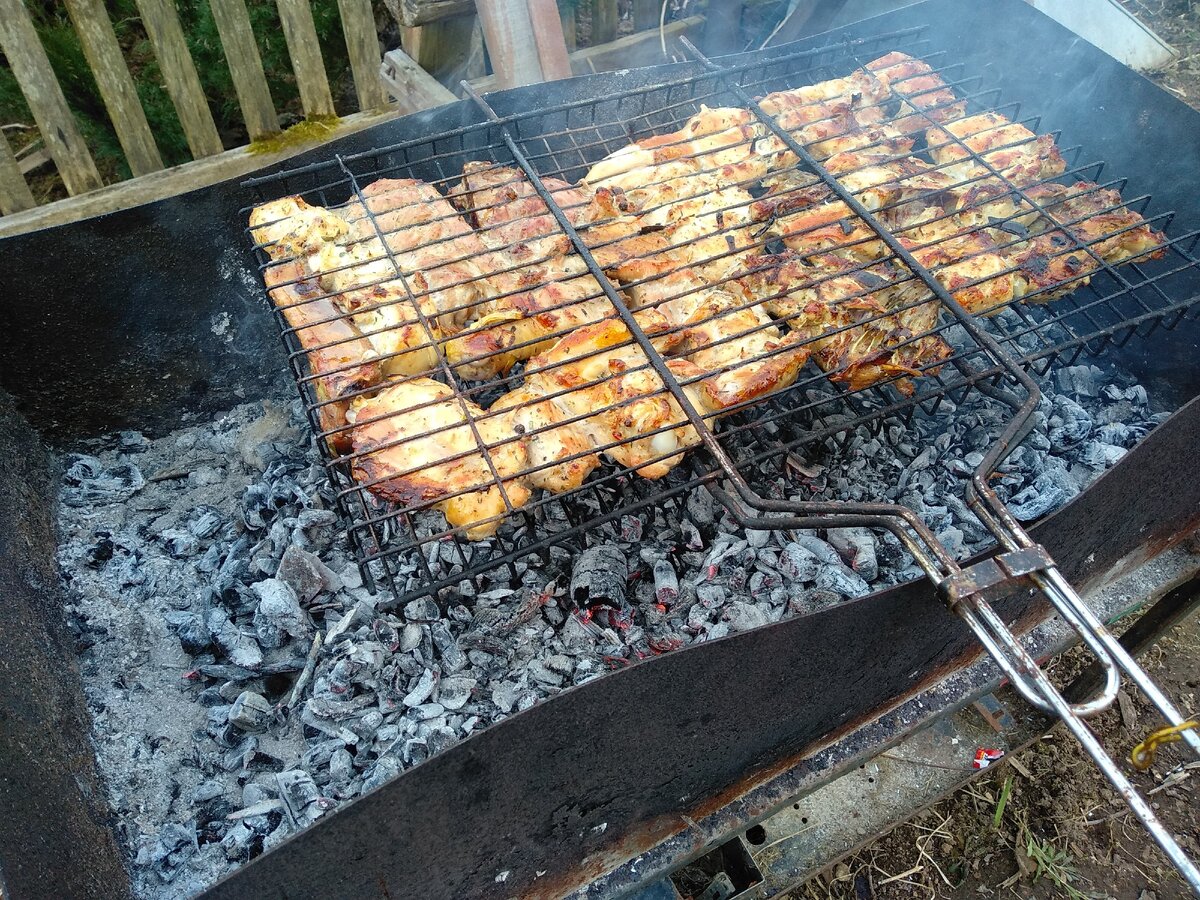 Автор уже давно перестал "тащиться" от шашлыков