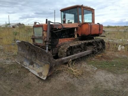 Фото из Яндекс Картинок