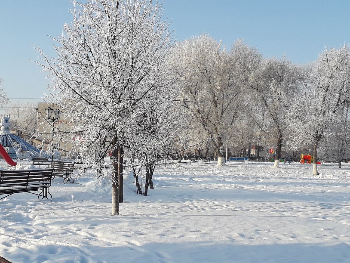 мороз крепчает и накрывает красивой "шубкой" деревья (фото мое)