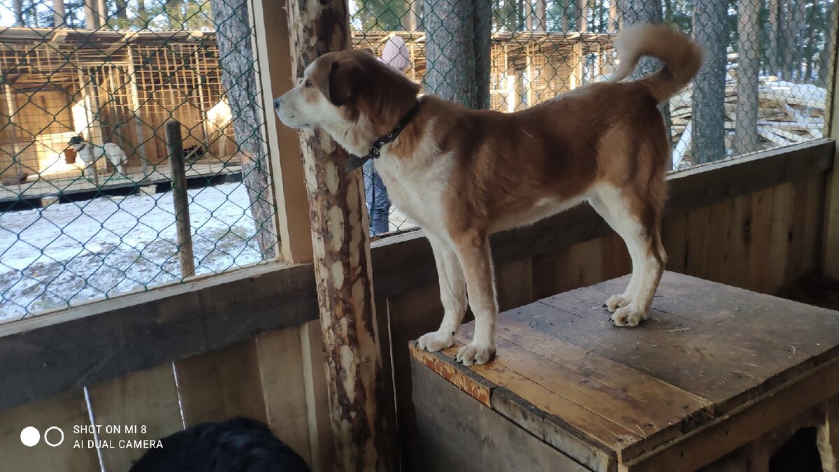 Кто там к нам идет?