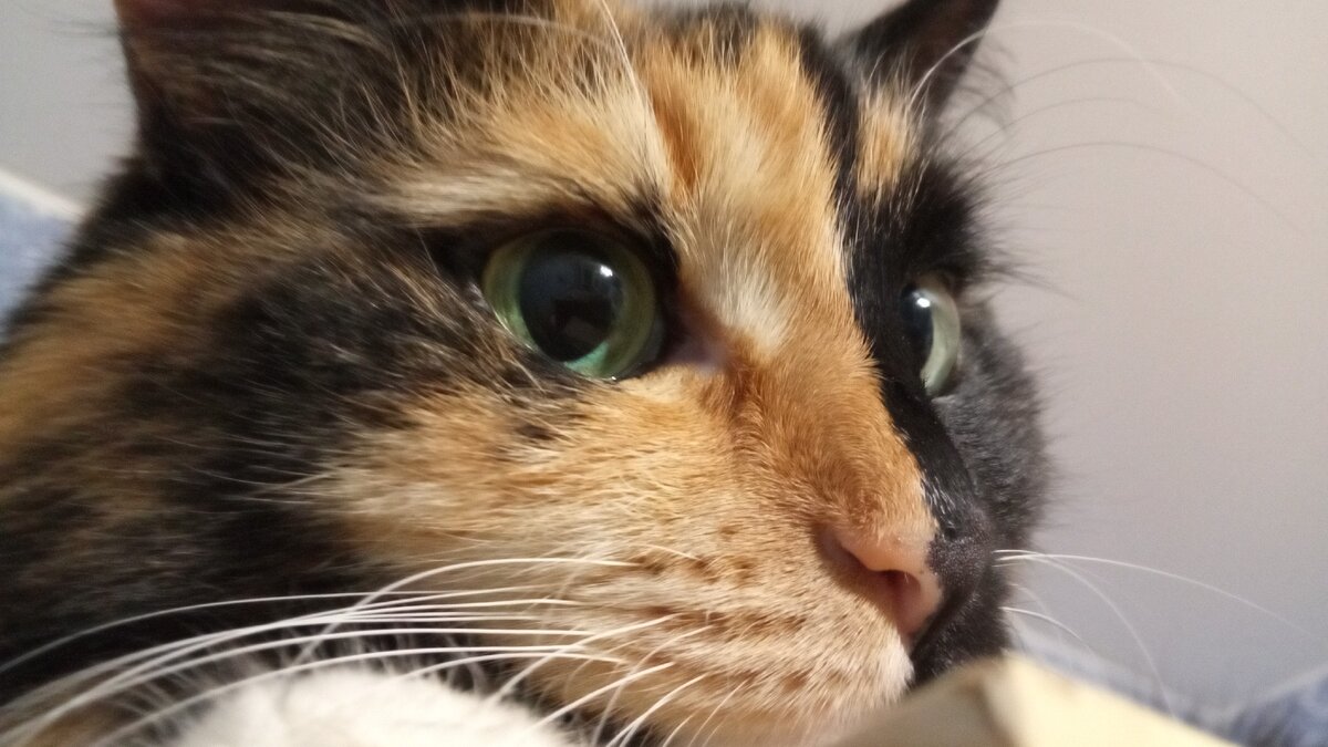 Думает о том, куда делись ее года...