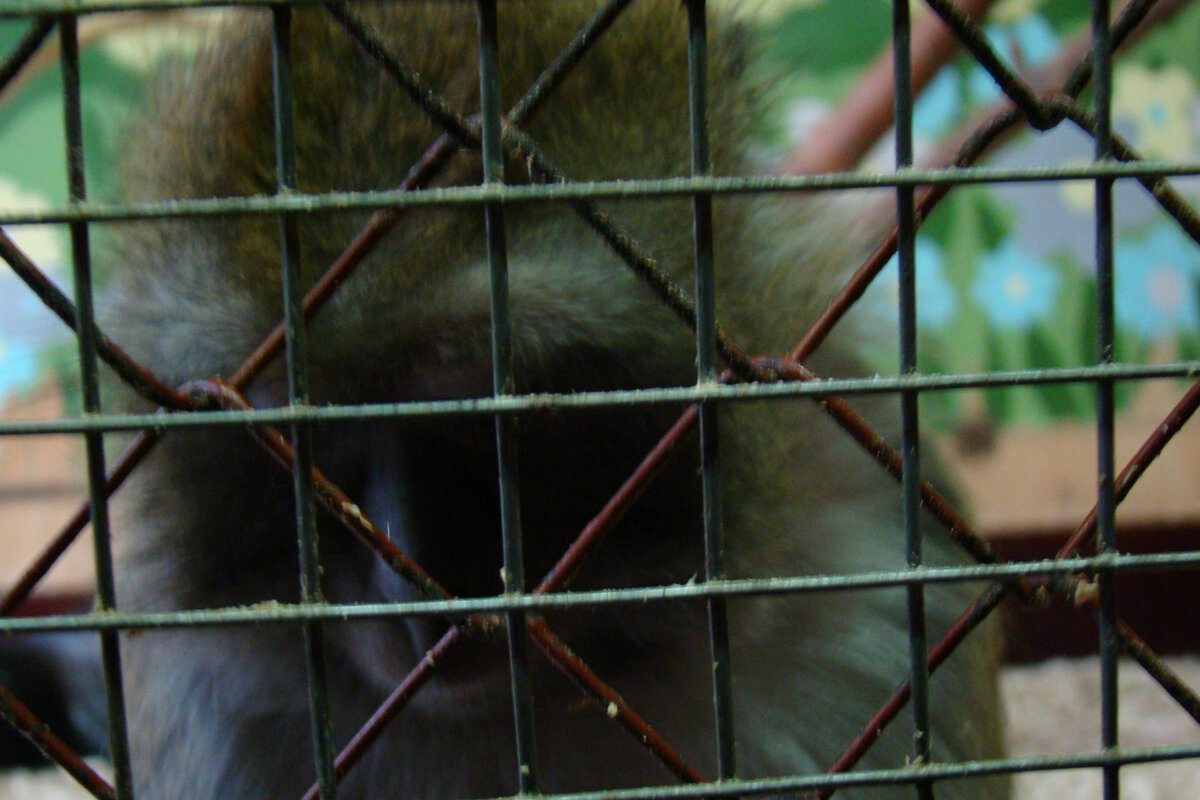 Фото из личного архива автора. Параллели и ассоциации категорически  приветствуются!