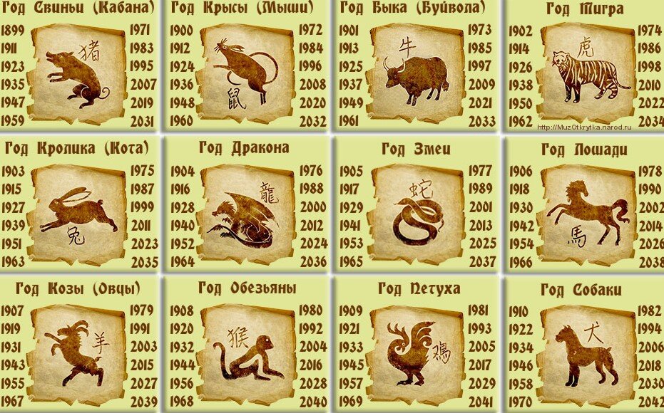 Китайский календарь по годам, животным и цветам | Хочу всё знать | Дзен
