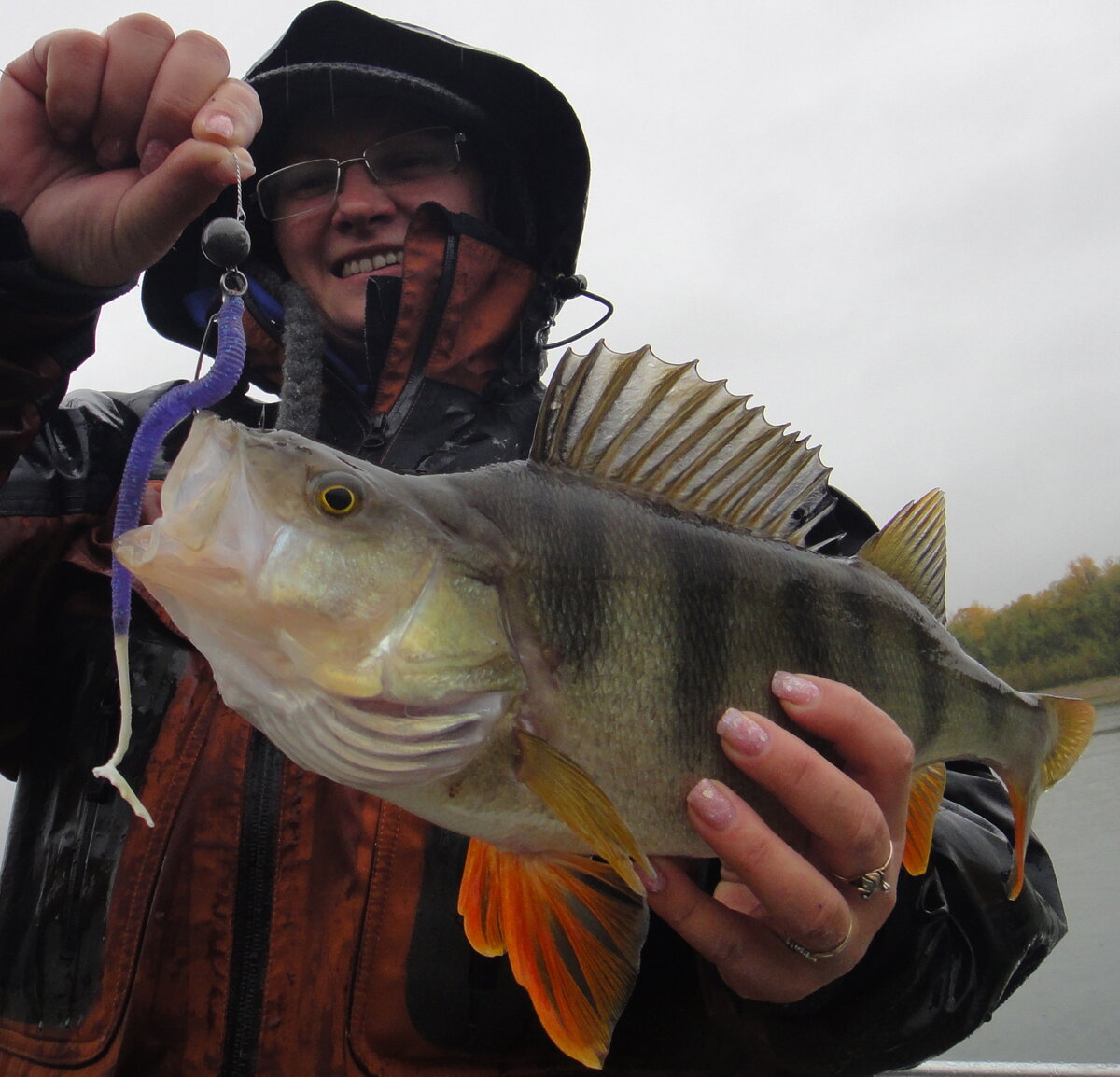 Зачем столько сложностей? Рыбу нашел - поймаешь. А не нашел... | Max Fishing  | Дзен