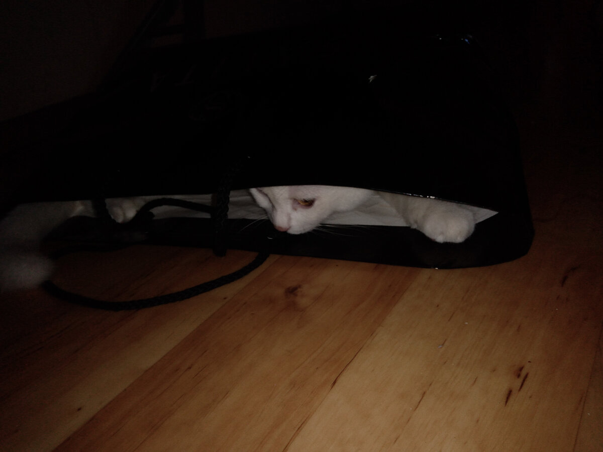 личное фото автора 