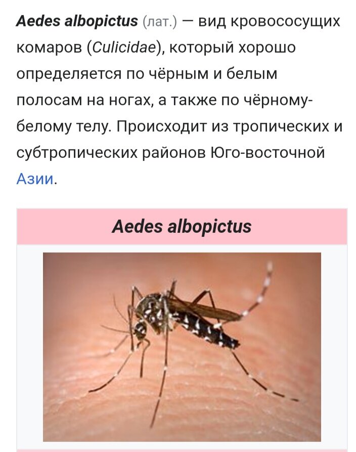 Скрин из Википедии.