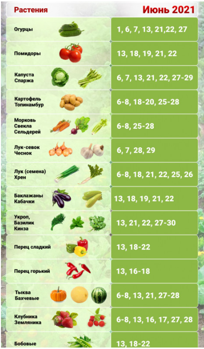 Лунный календарь огородника на июнь 24 года. Благоприятные посадочные дни в июне. Календарь посева на июнь. Посевной календарь на июнь. Лунный посевной календарь на июнь.