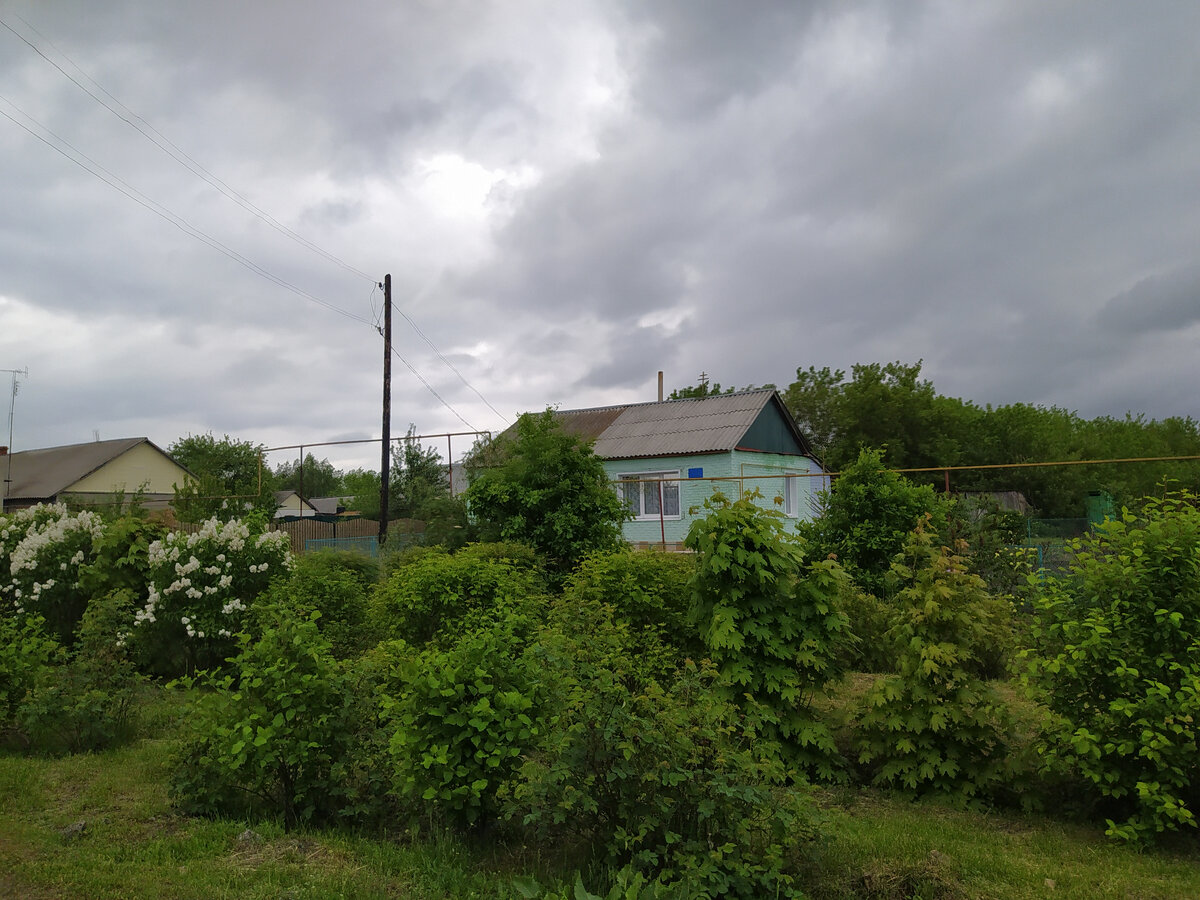 карай салтыково инжавинский район. новогодний концерт 2021 ютуб. станция карай. карай-салтыковский сельсовет инжавинского района тамбовской области. карай салтыкова.