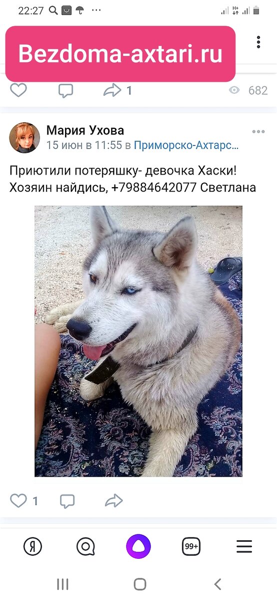 Та самая хаски