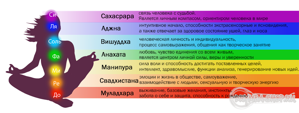 ВИБРАЦИИ ЧЕЛОВЕКА