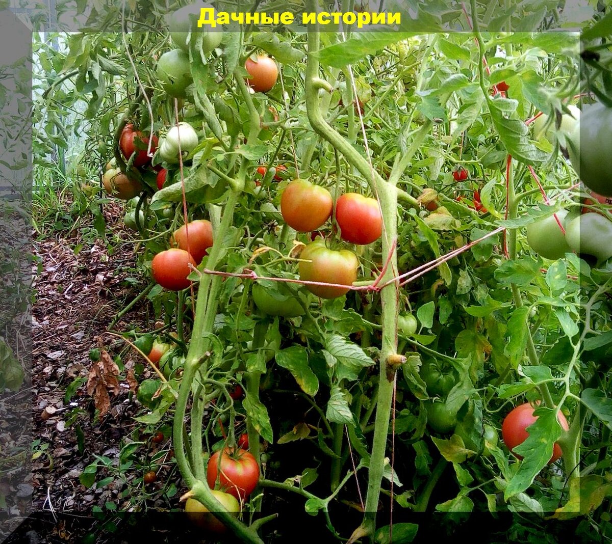 https://vk.com/photo-159774511_457248596