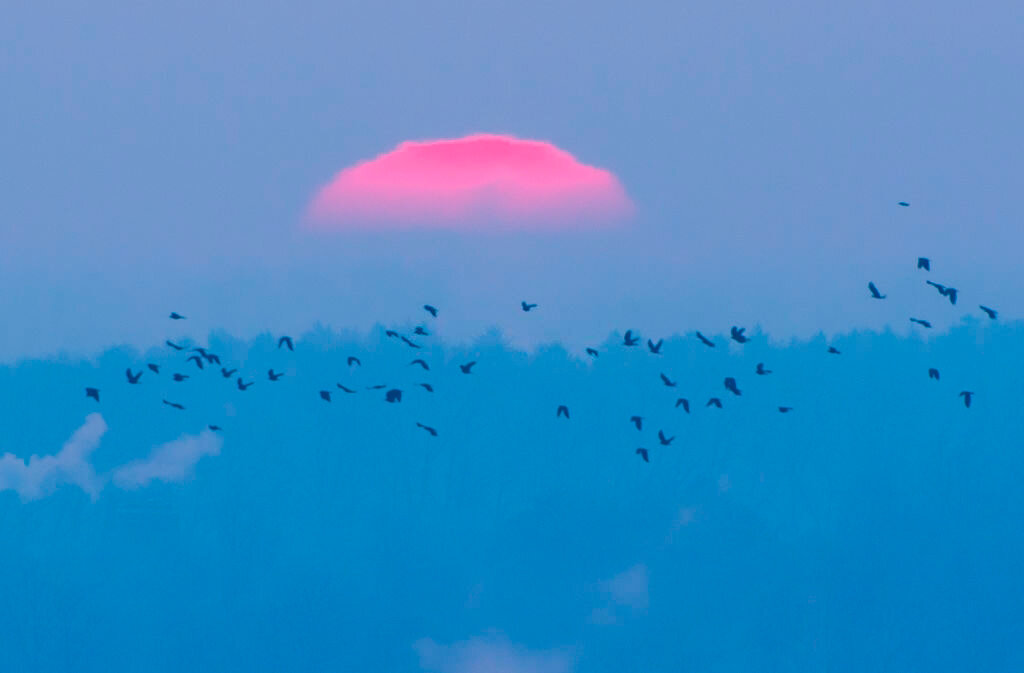 фото взято из Яндекс картинки