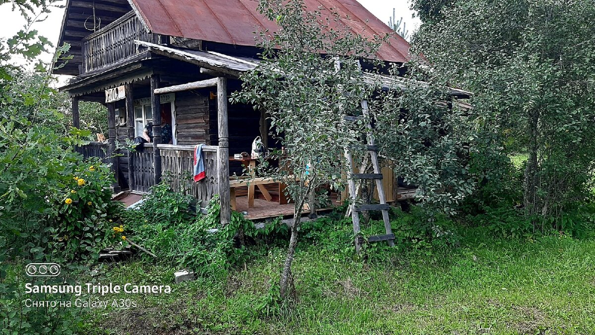 Фото автора.