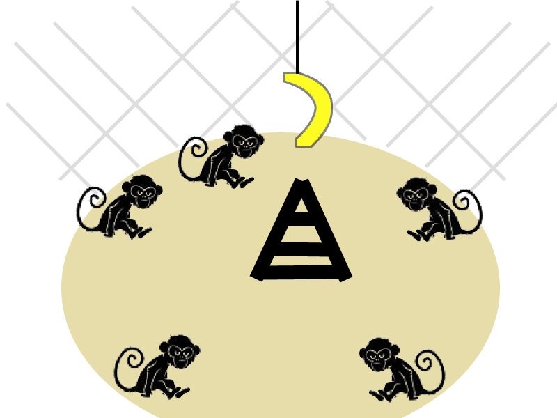Эксперимент с пятью обезьянами