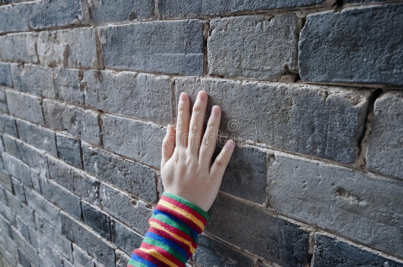 Привычка. Безусловный рефлекс.