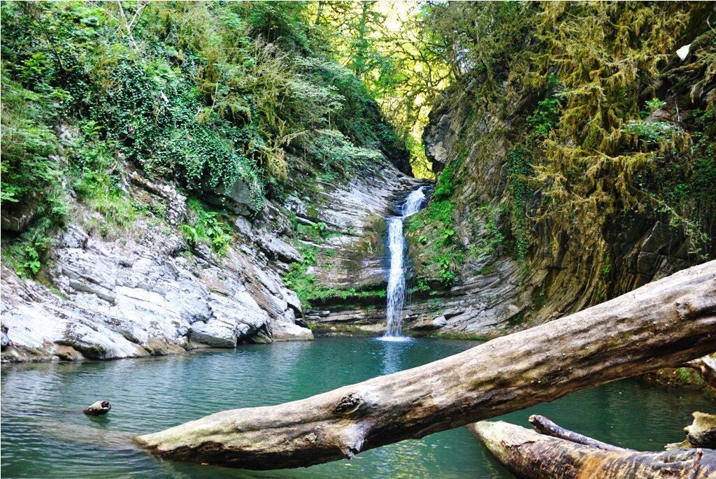 Каждый год, летом, большое количество туристов приезжает на отдых в Сочи. Сюда их привлекает тёплое Чёрное море, ласковое солнце и уникальная природа. Пальмы, магнолии, кипарисы, красивейшие клумбы с южными цветами украшают наш город. Но эта красота создана руками человека. Однако в Сочи есть более талантливый архитектор – субтропическая природа. Величественные горы, таинственные горные ущелья, живописные реки, удивительной красоты водопады, реликтовые леса – это всё город Сочи. Значительная часть туристов приезжает сюда, чтобы воочию увидеть неповторимую сочинскую природу. Одним из таких волшебных мест являются Самшитовые водопады. Они находятся в живописном ущелье, выточенном рекой Восточный Дагомыс, чуть выше села Барановка. Для того чтобы увидеть эти водопады не надо идти крутыми горными тропами, что не каждому под силу. Здесь есть дорога, и добраться к ним можно даже на рейсовом автобусе. Самшитовые водопады – очень красивое место. Здесь природа создала изумительный каскад водопадов. Они небольшие. Самые высокие из них имеют высоту 4-5 метров. Поток чистой горной воды разделился на множество перекатов, водоскатов и водопадов разных размеров. Его брызги, словно бриллианты, переливаются в солнечных лучах. Заросли субтропических лиан, вечнозелёного самшита и живописный мох окружают водопады. Они тянутся к этому горному потоку, как будто хотят напиться живительной прохладой. Успокаивающее журчание воды, щебет птиц, благоухание лесных трав создаёт ощущение умиротворения и покоя. У каждого водопада есть свое название. Самый интересный из водопадов «Дм Дм Бон». У еще 5 водопадов менее оригинальные названия «Самшитовый водопад №1», «Самшитовый водопад №2», «Самшитовый водопад №3», «Самшитовый водопад №4», «Самшитовый водопад №5». Самые высокие водопады достигают 5 метров Если вы не знаете куда поехать и чем заняться, но хочется на природу, то ответ очевиден – берите с собой фотоаппарат, немного еды и вперёд! (А если вы очень смелы, то прихватите с собой и плавки). Пришло время покорить Самшитовые водопады. Кроме водопадов здесь находится уникальный Самшитовый лес и открывается великолепный вид на горы.