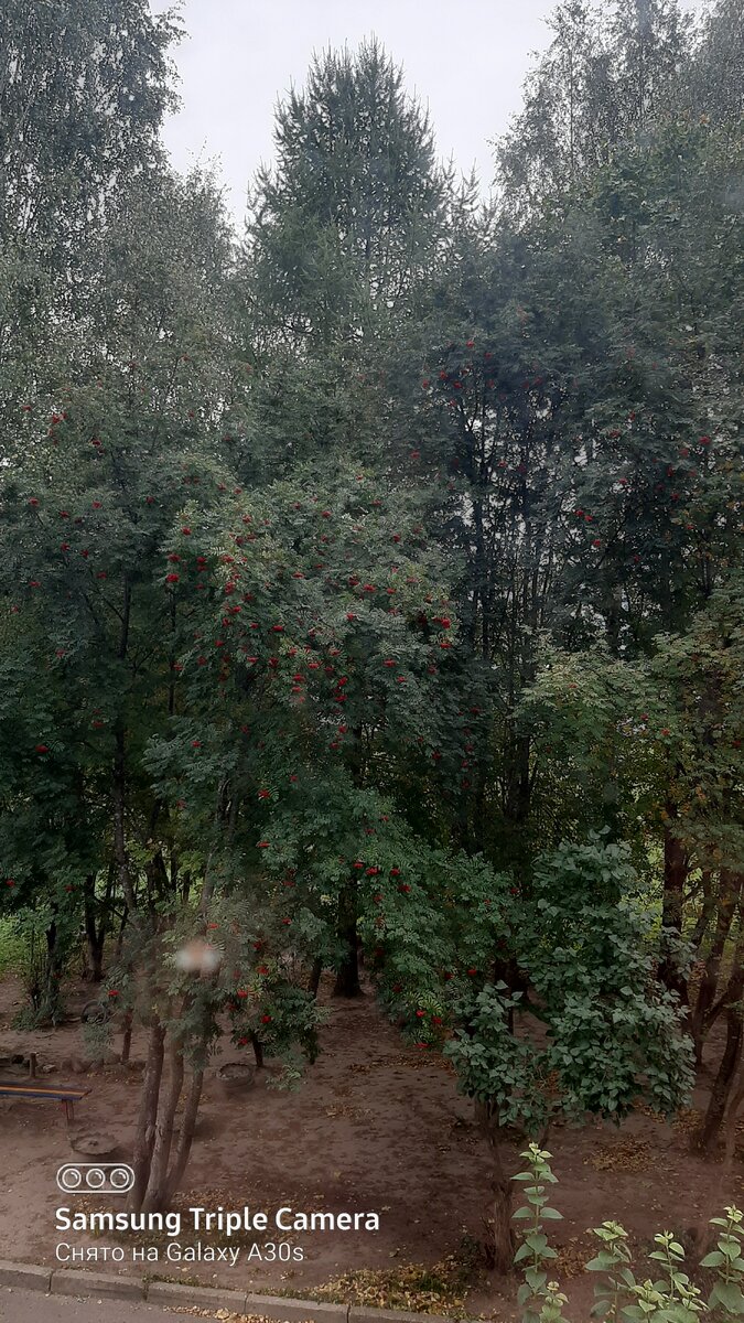 Фото автора из окна.