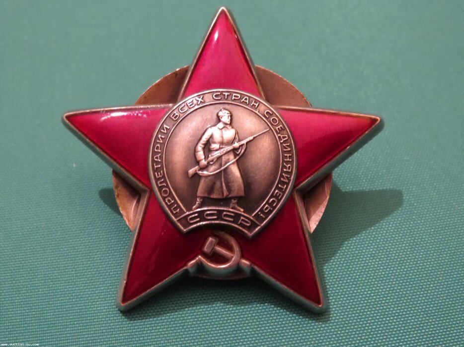 фото из интернета.