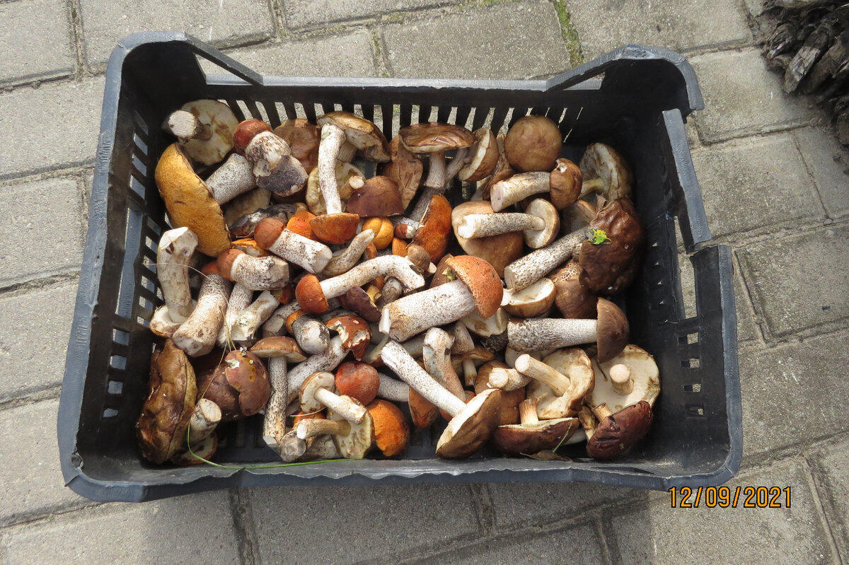  Фото автора. Подарочный ящик соседям. Собирать интересно, а девать куда?