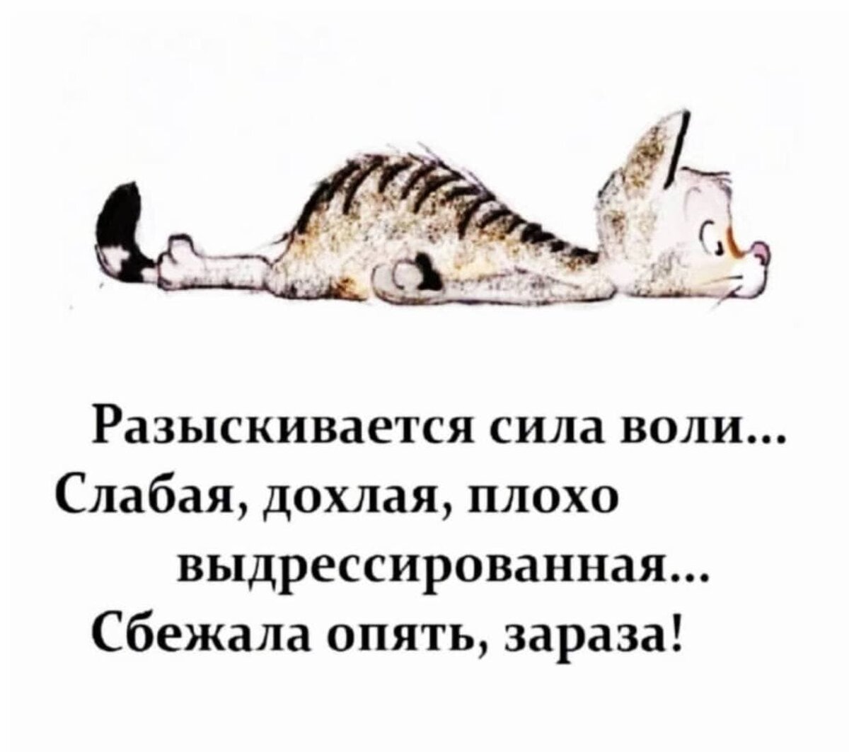 Анекдоты про то, как бабушка Люся получила помощь от того самого Депутата |  Кеша Бурка | Дзен