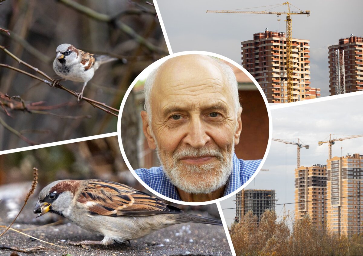 Фото: Тульская служба новостей \ Википедия Maksym Kozlenko﻿﻿