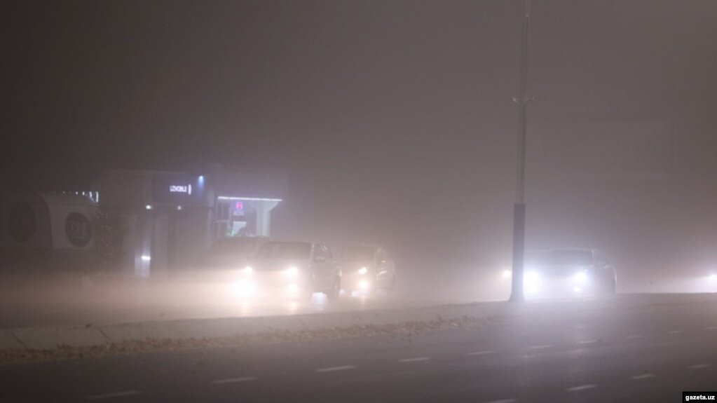 Начало ноября 2021 года. В откр.пр.