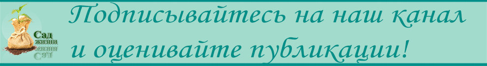 Как снять боль отёк при ушибе с помощью капусты?