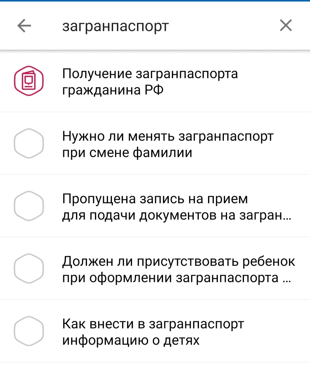 В поисковой строке введите загранпаспорт. 