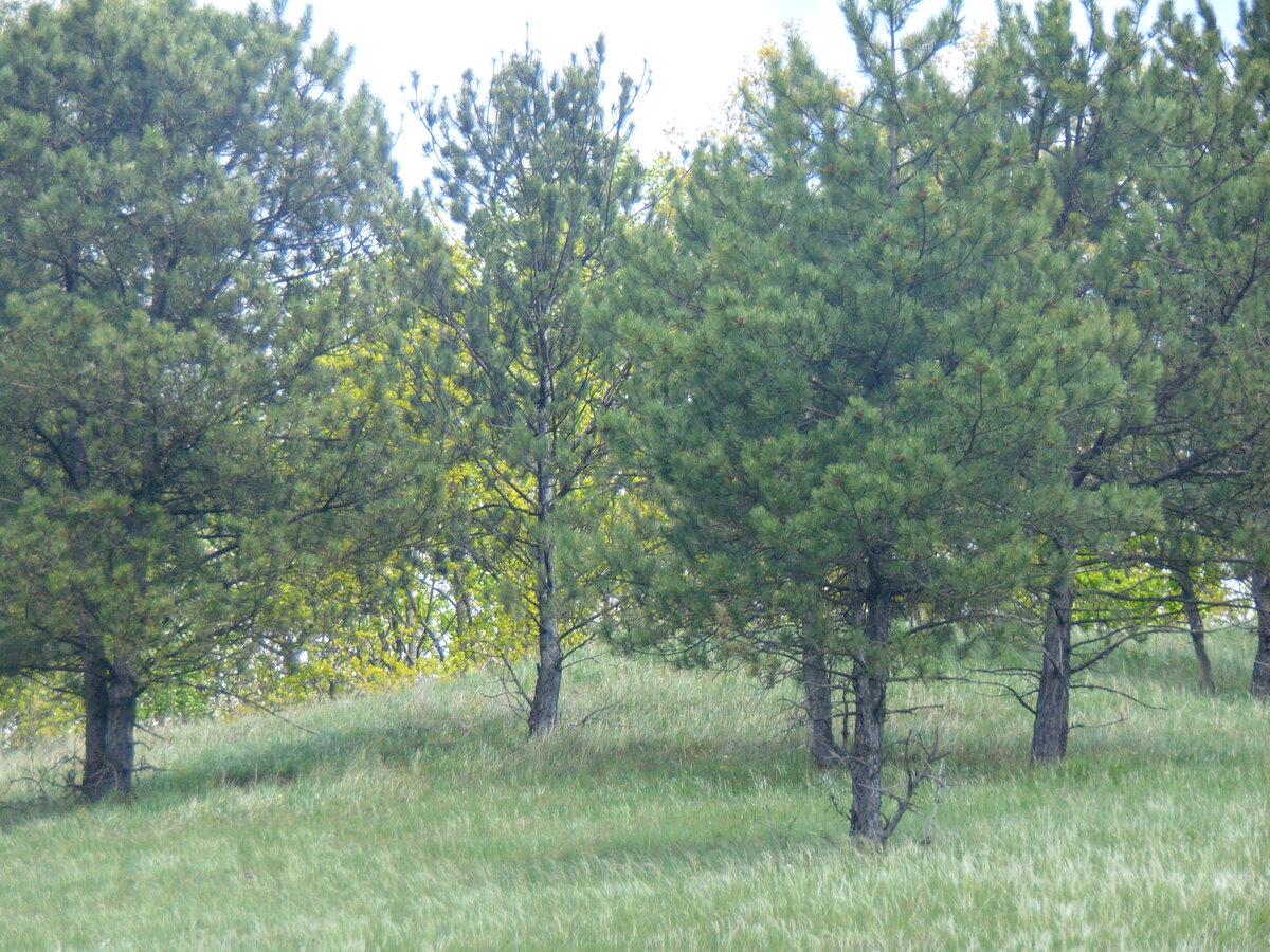 Фото автора канала