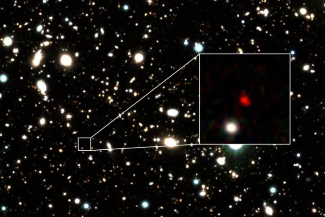Источник изображения: newscientist.com