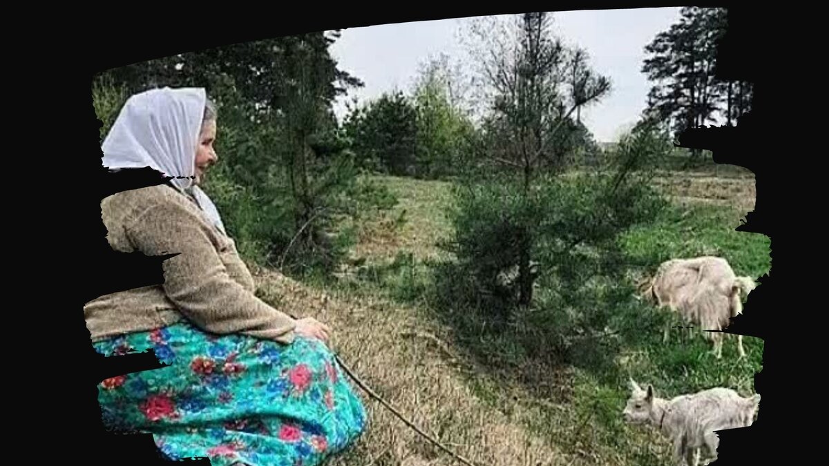 Пенсионерка пасет коз