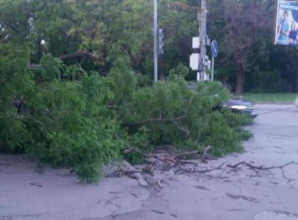  Источник фото: www.vk.com/my_tgn 