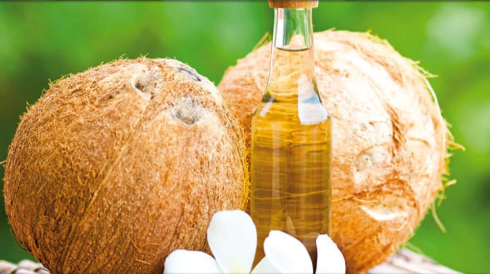 Фото: https://lady.co.uk/sites/default/files/styles/full_width_1160x652/public/images/joomla/images/content/00_07_February_14_2014/Mels-Nan-Feb14-01-590.jpg?itok=U-ugqoPF