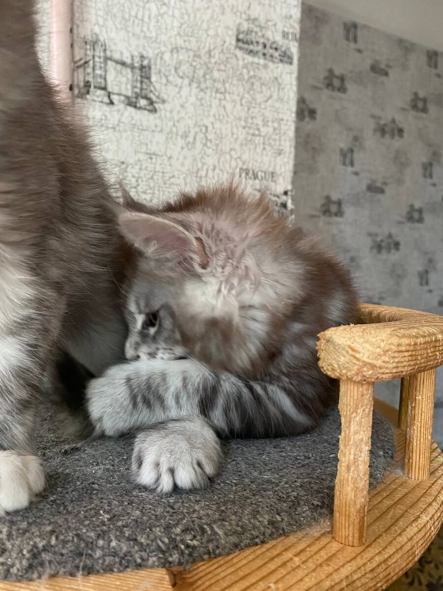 По секрету всему свету 