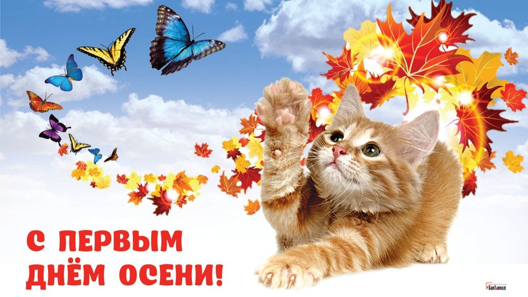 Осень пришла незаметно. Фото: Курьер Среда