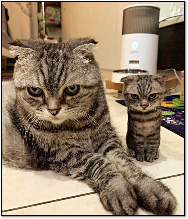 Источник: https://pikabu.ru 