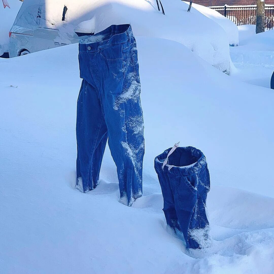 Из открытого доступа. 