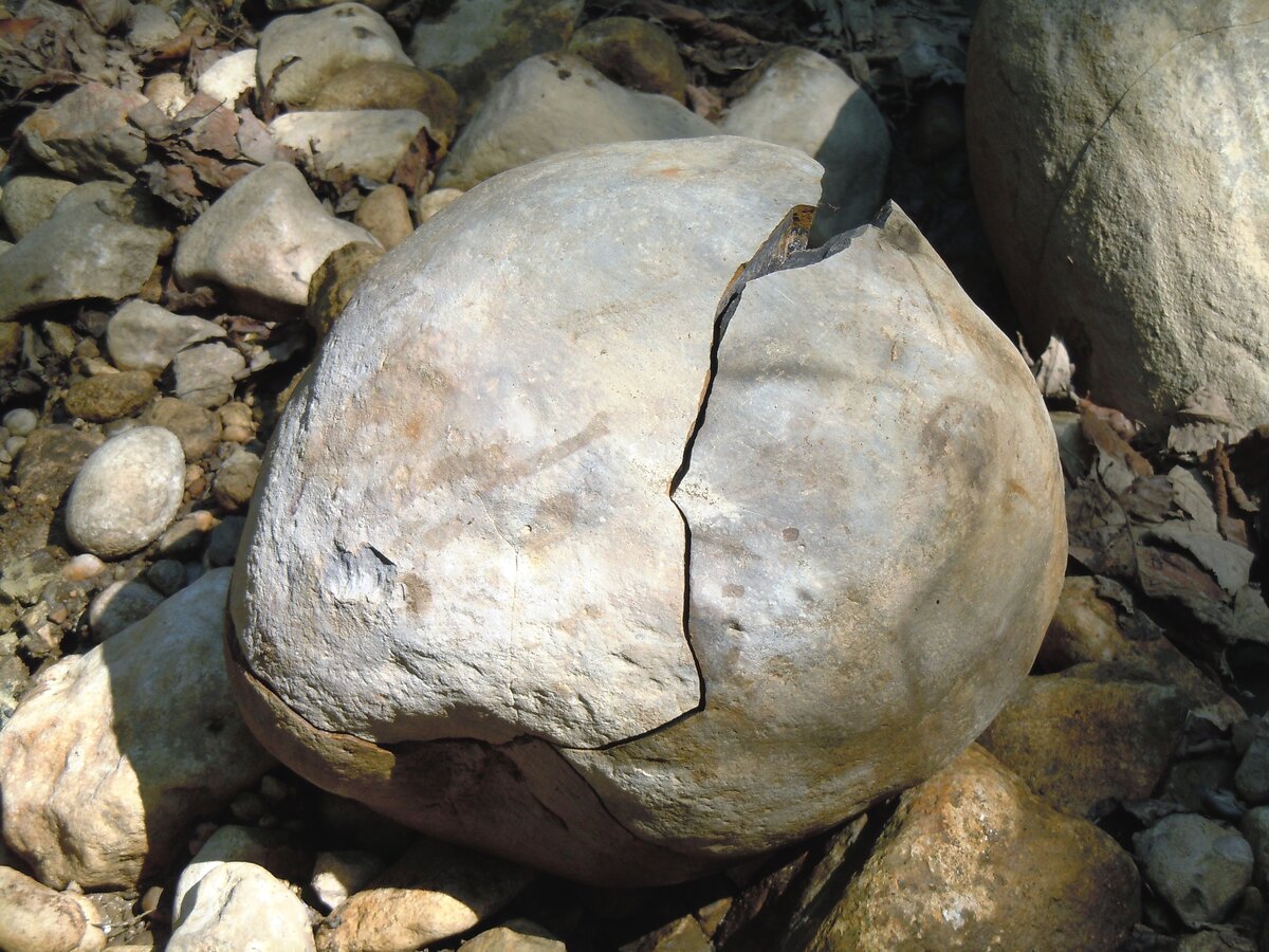 Шар из реки Камелюк