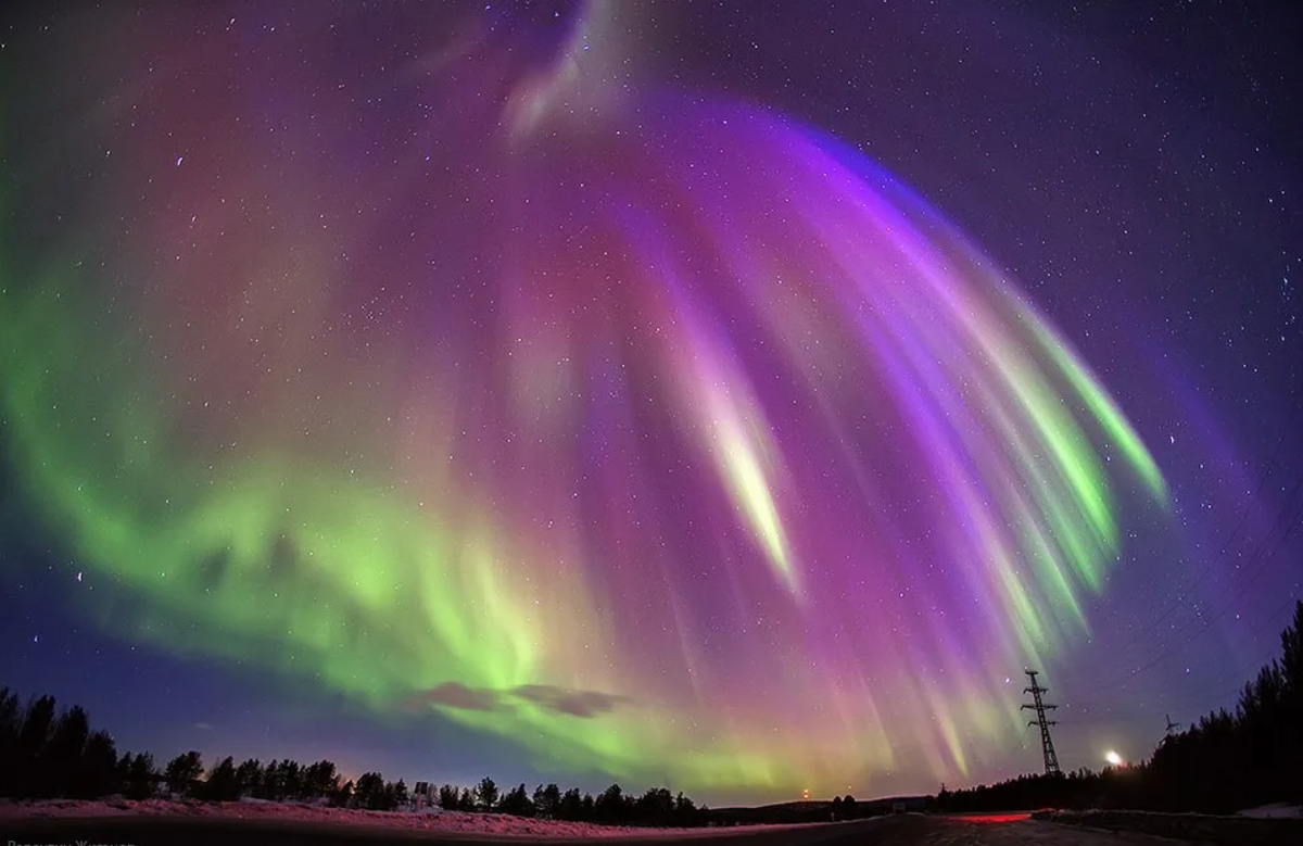 Auroras сайт