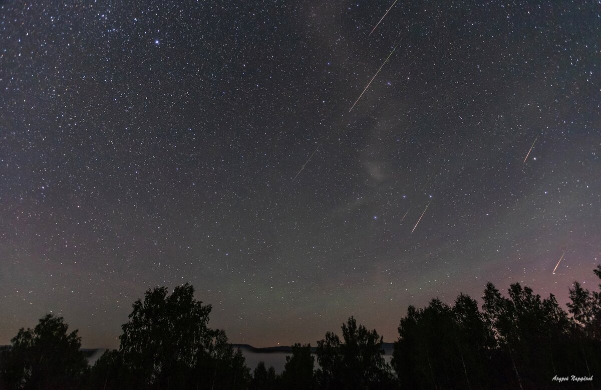ФОТО: АНДРЕЙ ПАРФЁНОВ/ПРЕДОСТАВЛЕНО САЙТУ ЦАРЬГРАД. 
