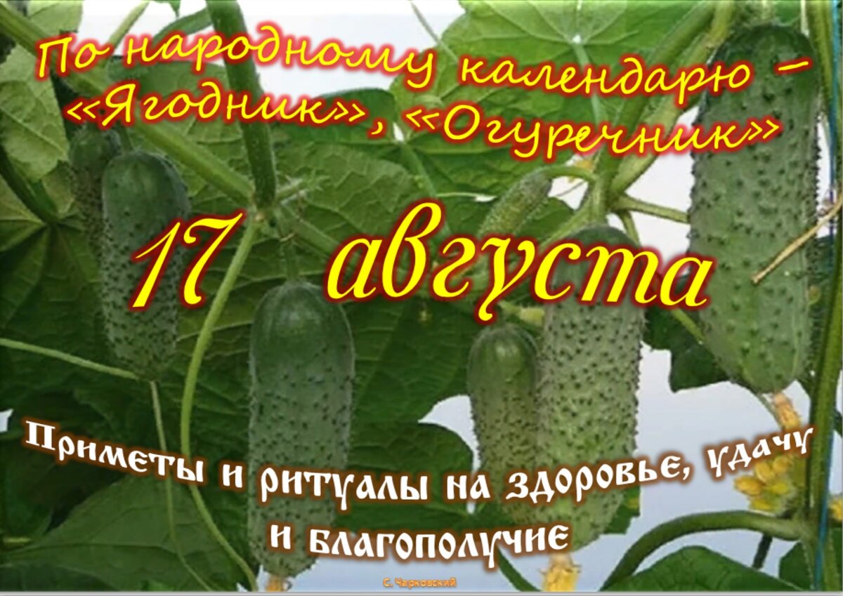 Какой сегодня праздник 17 апреля 2024. День 17 августа праздники.