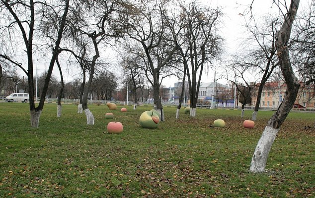 фото из гугла 