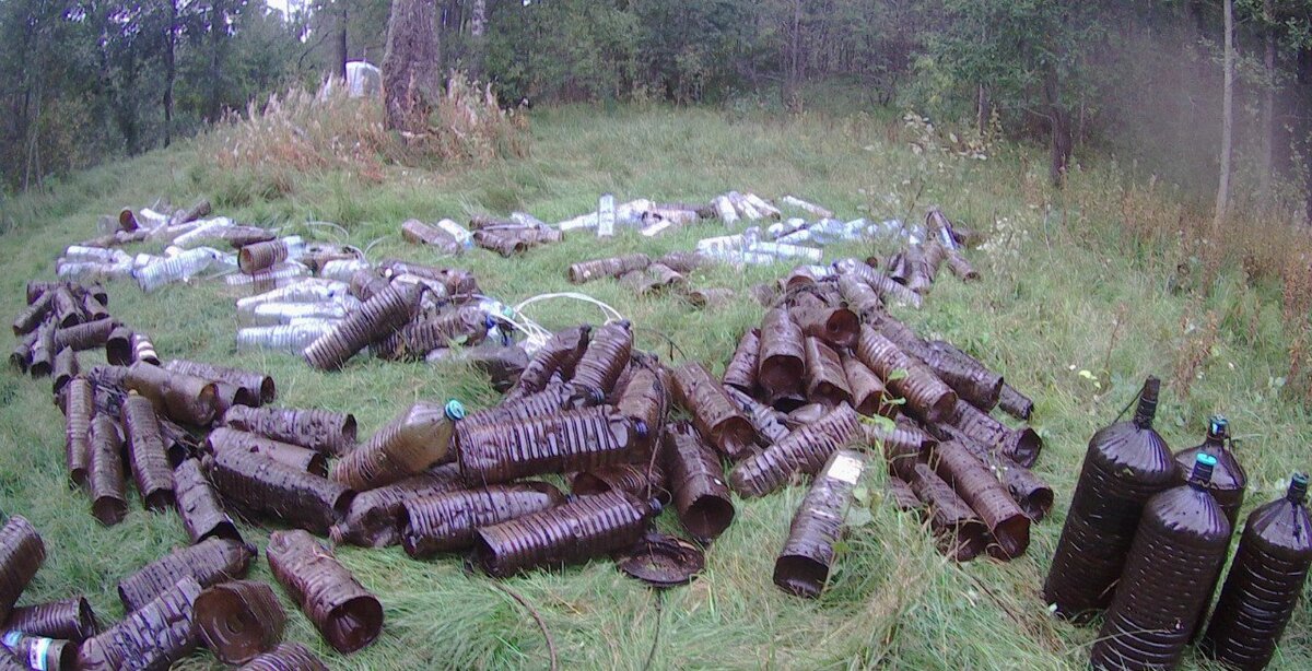 Фото: пресс-служба комитета по природопользованию