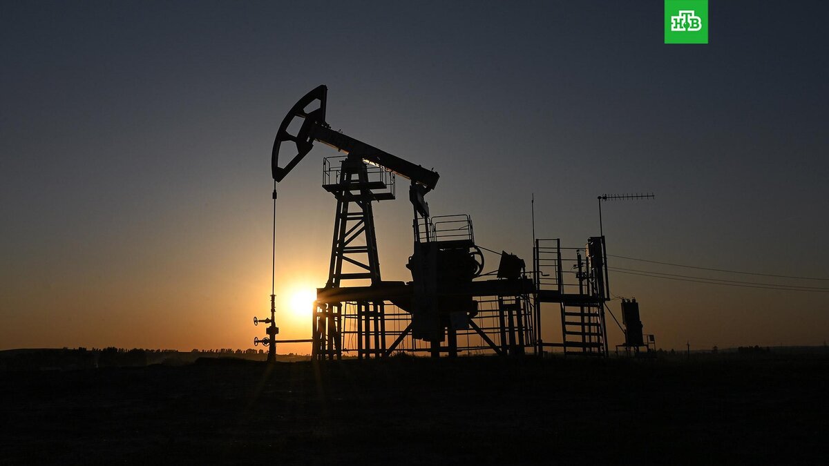    Фото: РИА Новости © 2023, Максим Блинов