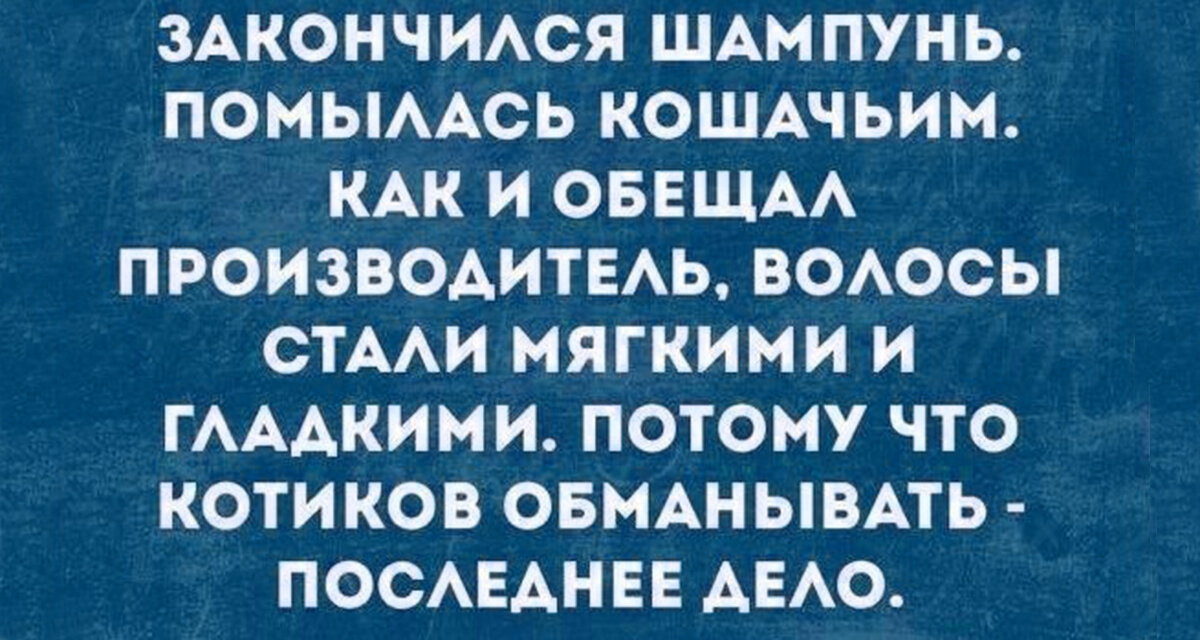 Жаль что у меня нет кошки...