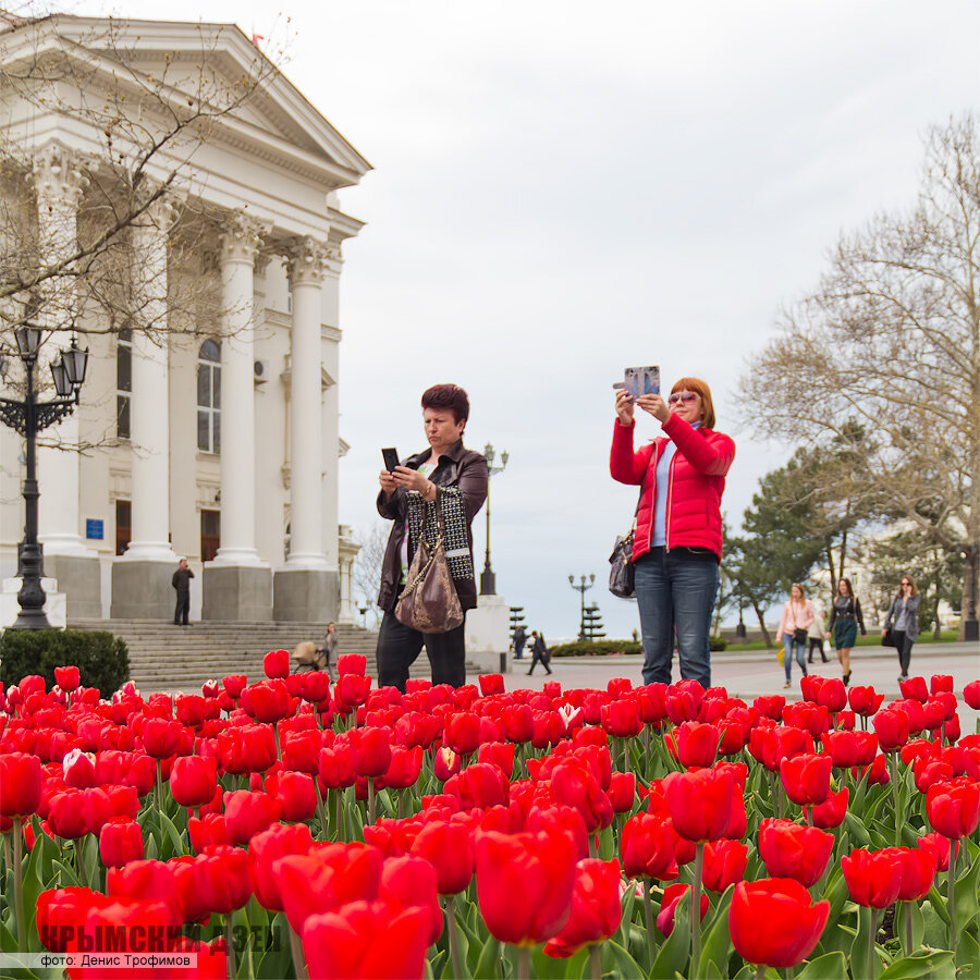 Тюльпаны возле Дворца детского и юношеского творчества