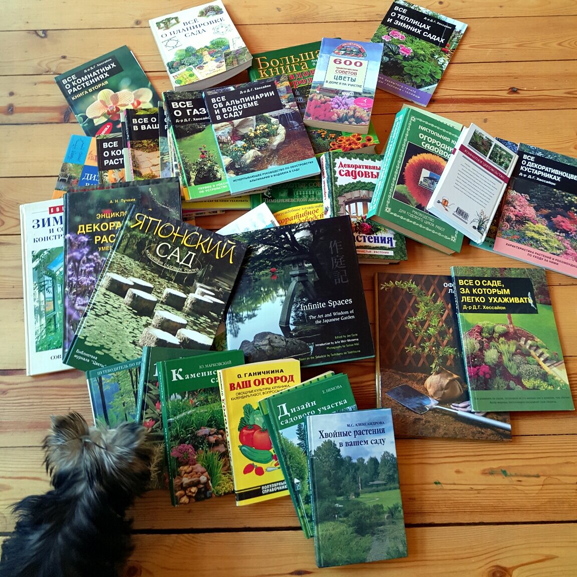 Лучший друг - книга Сад Анны Гауэр