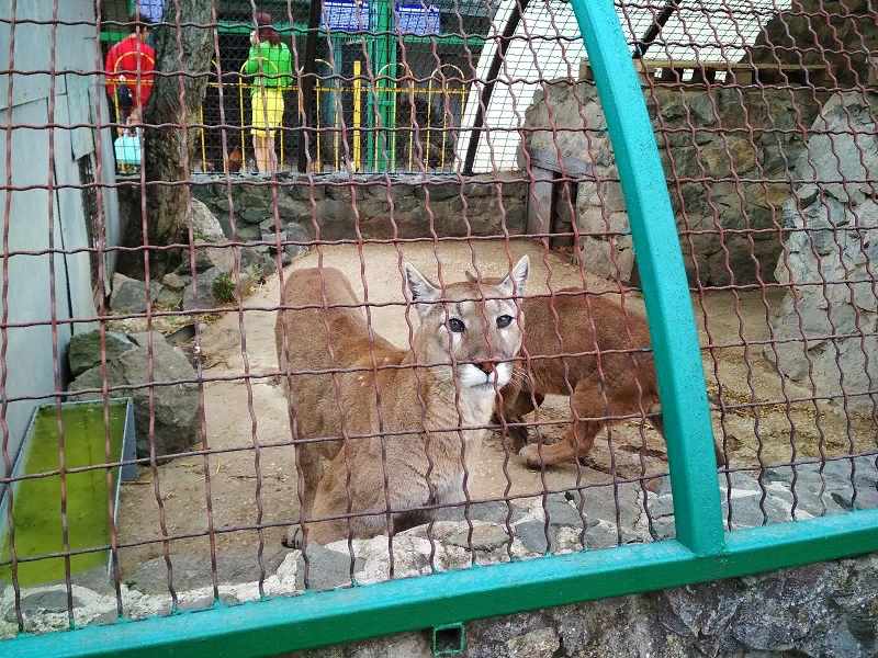 Фото Елены Гребенюк Симферопольский зооуголок