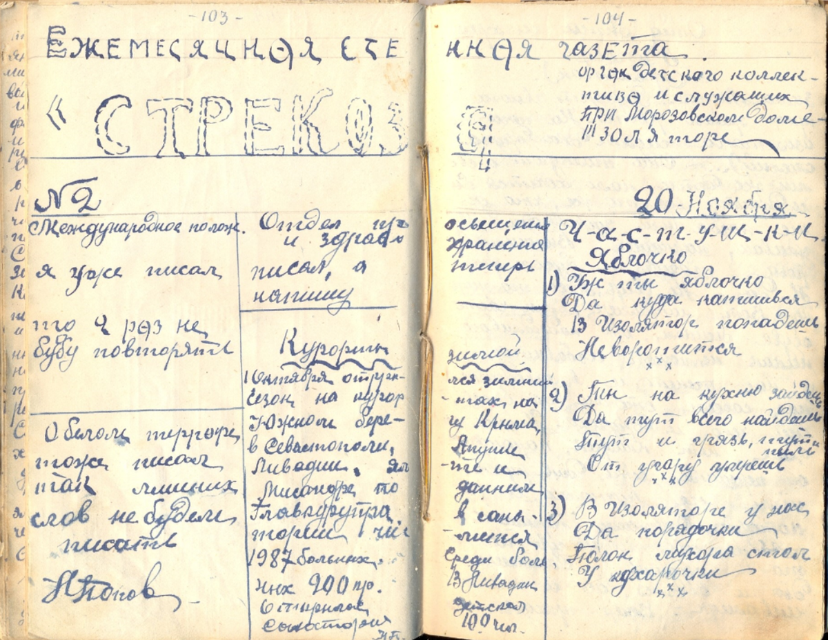 Дневник чита. Черновик дневник. Дневник Василия Рассохи. Автобиографичный дневник. Пешский дневник.