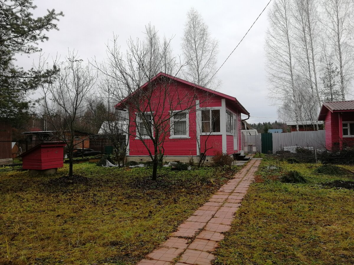 Нашла только осенние фото яблонь